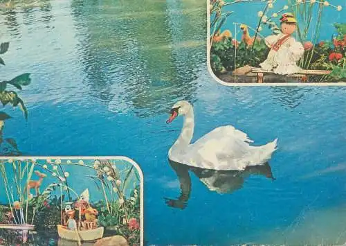 multi view Postcard swan