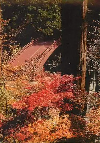 Post card Japan Nikko the Sacred Bridge