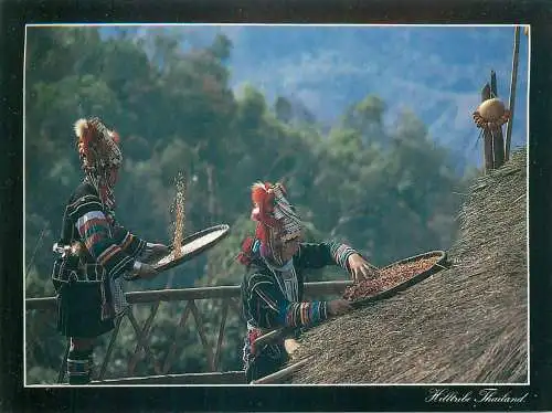 Postcard Thailand hill tribe preparing food ethnic types and scenes