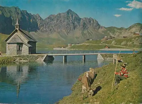 Postcard Switzerland Melchtal young boy watching cows rural life