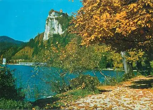 Postcard Slovenia Bled coast 1967