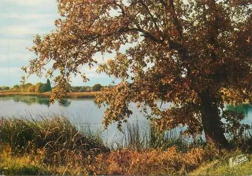 Postcard France en sologne Loir et cher 1978