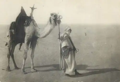 Postcard Africa collection Saharienne dans la Hammada bedouin camel ethnic