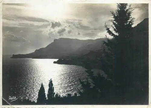 Postcard Monaco Monte Carlo et la tete de chien 1987