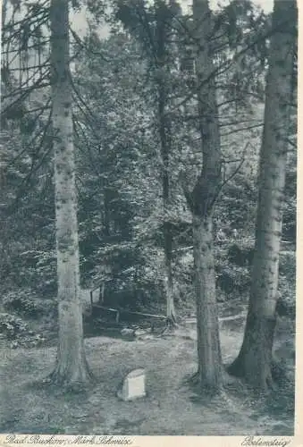Postcard Germany Buckow (Buckow (Märkische Schweiz))