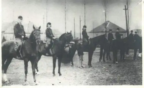 Romania equestrianism vintage photo 9x13cm horses jockeys show
