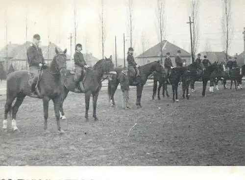 Equestrianism related vintage photo horses jockeys 8.5x11.5cm