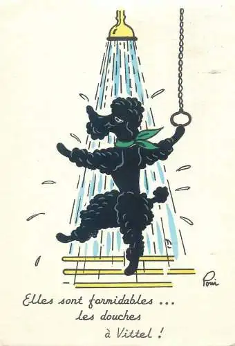 Postcard poodle dog taking a shower signed illustration