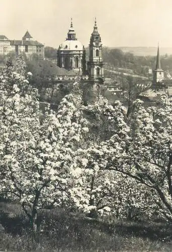Postcard Czech Republic Prague view from the Seminarska garden 1965
