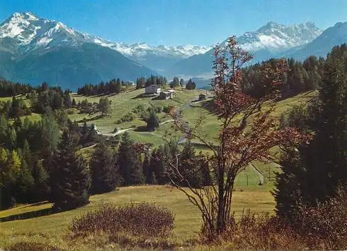 Postcard Switzerland Lanzerheide blick auf Sporz Davains
