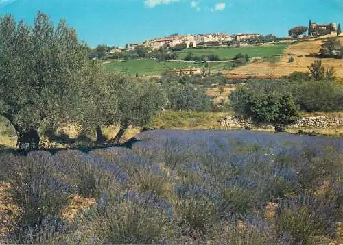 Postcard France Sites du Haut-Var Dragui gnan Canton de Salermes 1979