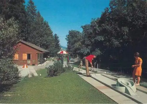 Mini-golf topical retated postcard Switzerland sommer und Wintersportplatz Wildhaus