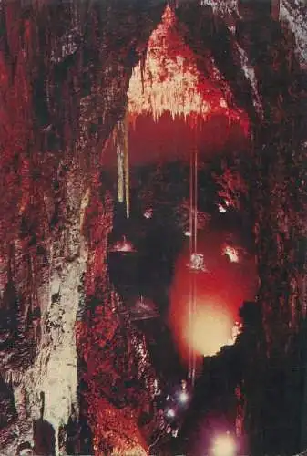 Postcard Italy Trieste grotta gigante 1980