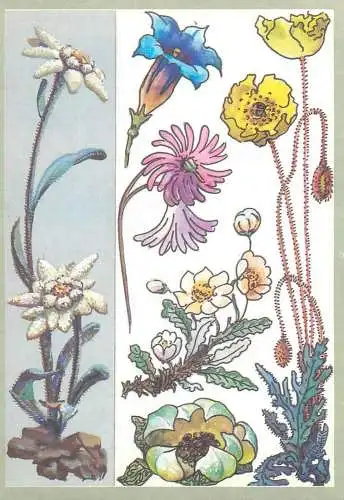 Amazing plants pictorial card Russia 1989 flowers