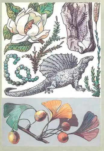 Amazing plants pictorial card Russia 1989 Komodo dragon
