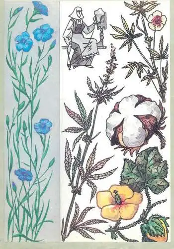Amazing plants pictorial card Russia 1989 native americans cotton weaver
