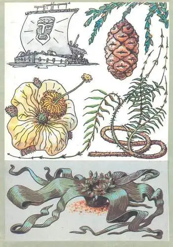 Amazing plants pictorial card Russia 1989 native americans flag god pineapple