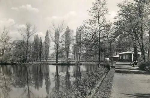 Postcard Germany Sterkrade Volkspark 1957