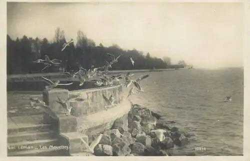 Postcards Switzerland Lacul Geneva Lac Leman