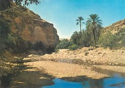 Postcard Algeria Oued el Abiod Canyon