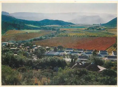 Post card South Africa Monatgu Keisie Valley general view