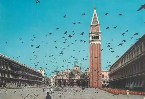 Postcard Italy Venezia Piazza di S. Marco flight of pigeons