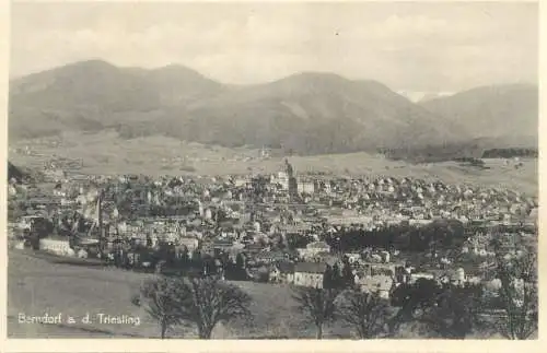 Postcards Austria Berndorf panorama