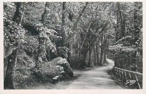 Postcards France Orne  Bagnoles de l'Orne allee du Dante 1952