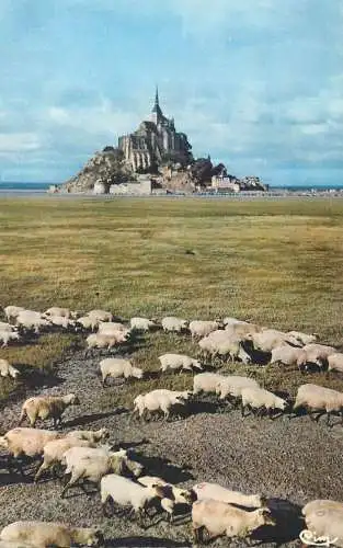 Postcards France Manche Le Mont Saint Michel