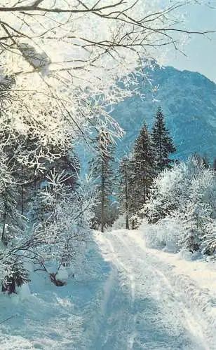 Postcards Austria winter landscape