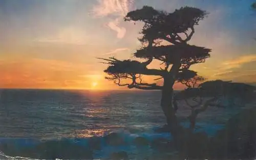 Postcards USA CA San Simeon lodge California