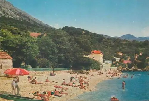 Postcard Croatia Mlini 1966