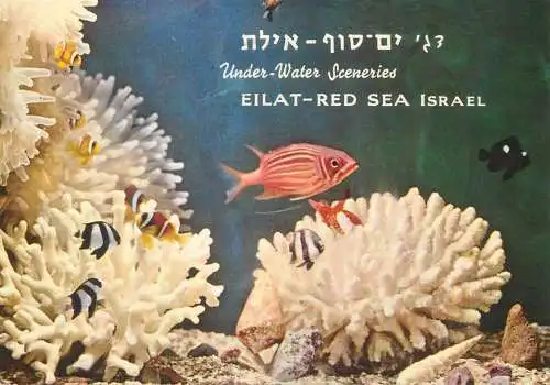 Postcard Israel Eilat under water scenery 1967