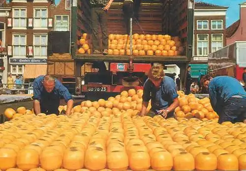 Postcard Netherlands cheese market Alkmaar