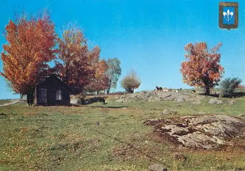 Postcard Canada Quebec St Sauveur des Monts autumn