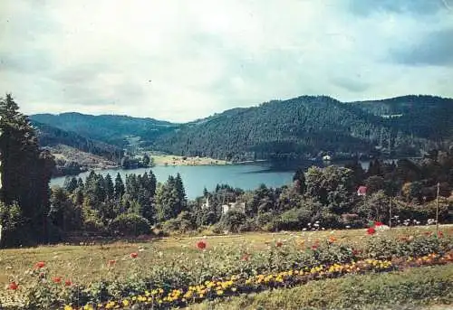 Postcard France Vosges  Gerardmer le lac de Ramberchamp 1959
