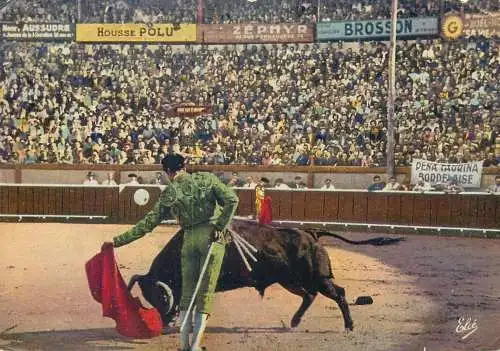 Postcard France  Hautes Pyrénées la course de Taureaux 1955