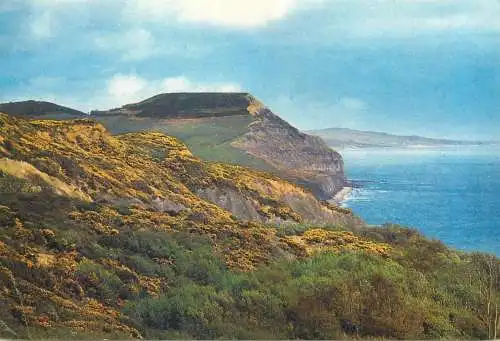 Post card England Dorset Golden Cap near Charmouth