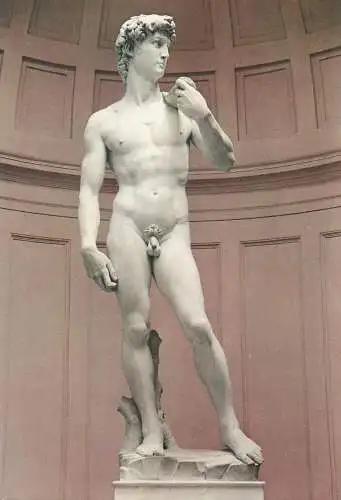 Post card David del Michelangelo