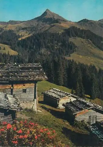 Postcard Austria Almhutten im Brixental gegen Brechhorn