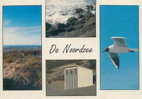 Postcard Belgium De Noordzee