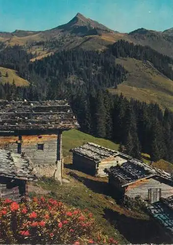Postcard Austria Almhutten im Brixental gegen Brechhorn