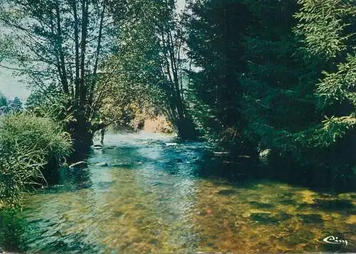 Postcard France Vosges  touristique nature landscape 1985