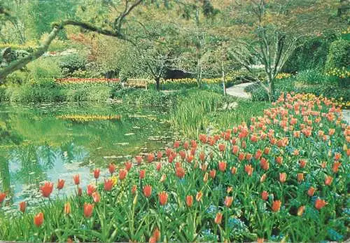 Postcard Canada Victoria B.C. The Butchart Gardens Sunken Lake tulips