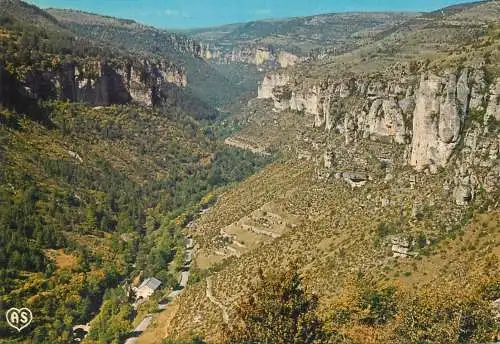 Postcard France Lozère Les gorges de la Jonte 1982