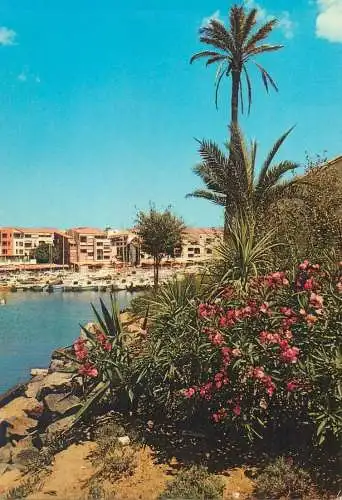 Postcard France Le languedoc Le cap d'Agde un coin Fleuri 1985
