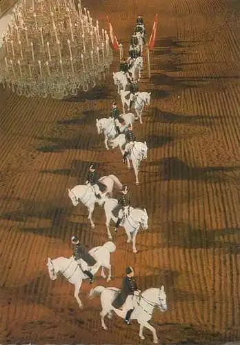Postcard Austria Wien Spanish Riding School