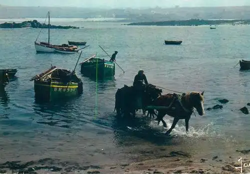 Postcard France Cote du Leon marine algae harvest