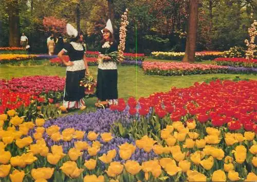 Postcard Netherlands in flower decorations