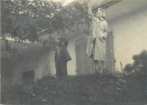 Photo ca. 9 x 12 cm social history grandparents picking grapes Romania